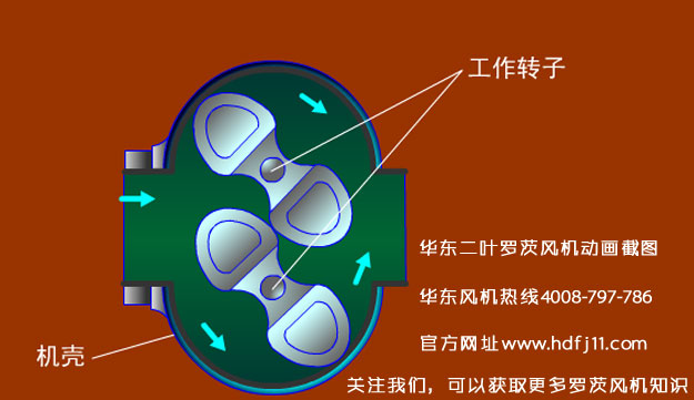 羅茨風(fēng)機(jī)的動畫截圖.jpg